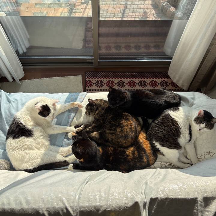 147ff6ad 35c5 4b8b b54c d6edb9c9c8bc 1771394381326