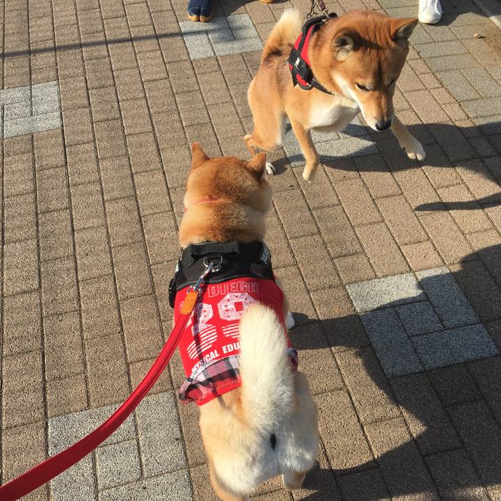 1480404f 8213 400b a2a9 5ba04af01f03 1575193834461