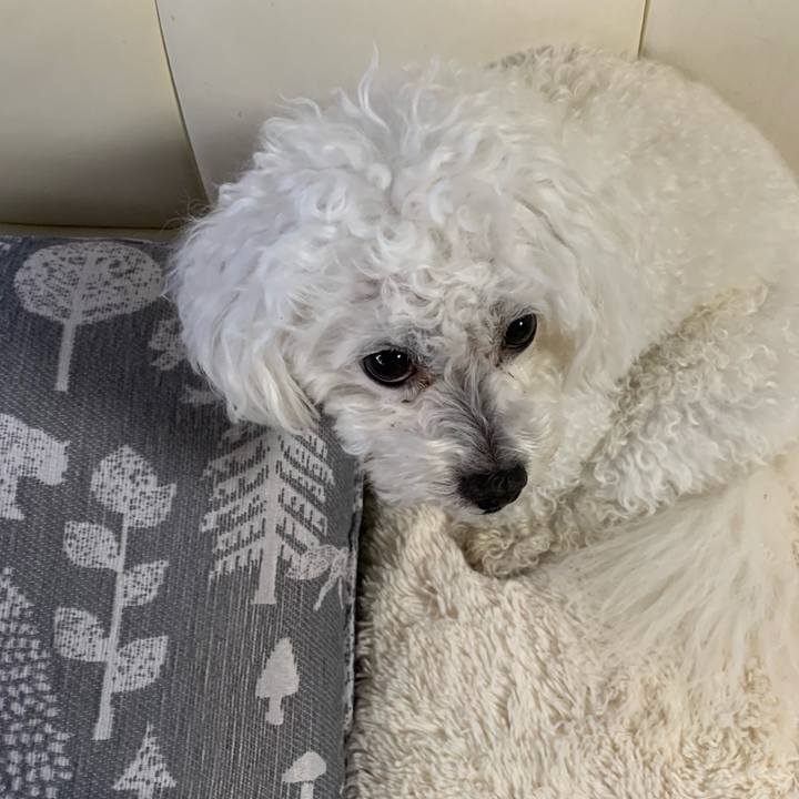 14804757 82d6 4ed2 9ade ac8117e87d85 1635719919072