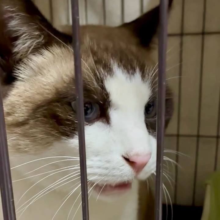 148054f9 8d73 4b70 8075 6c37684cea75 1765793163854