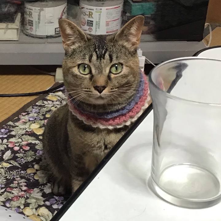 14805c1c 6712 4b5e ab2f c144899fdbe0 1622086537808