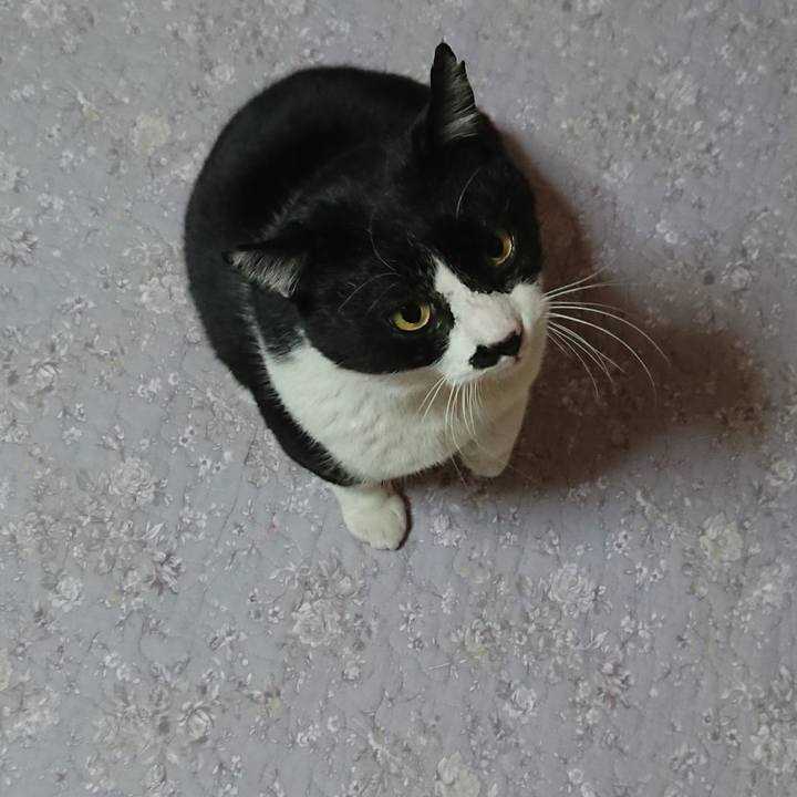 148088fc 29b5 439e abe9 5a04e6e85fba 1546919888193