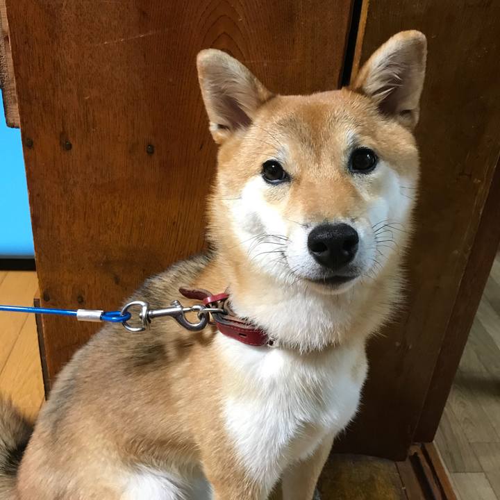 14808dfd 5705 48bb 84de 8e1af949dd97 1534121411740