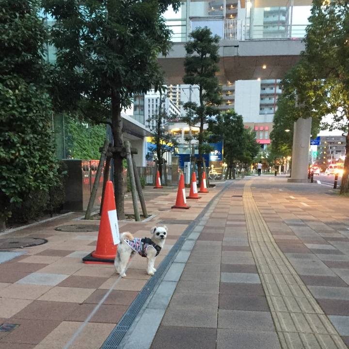 148098bb d6e5 46ec a4c1 6ff8bc2e5994 1565523478298