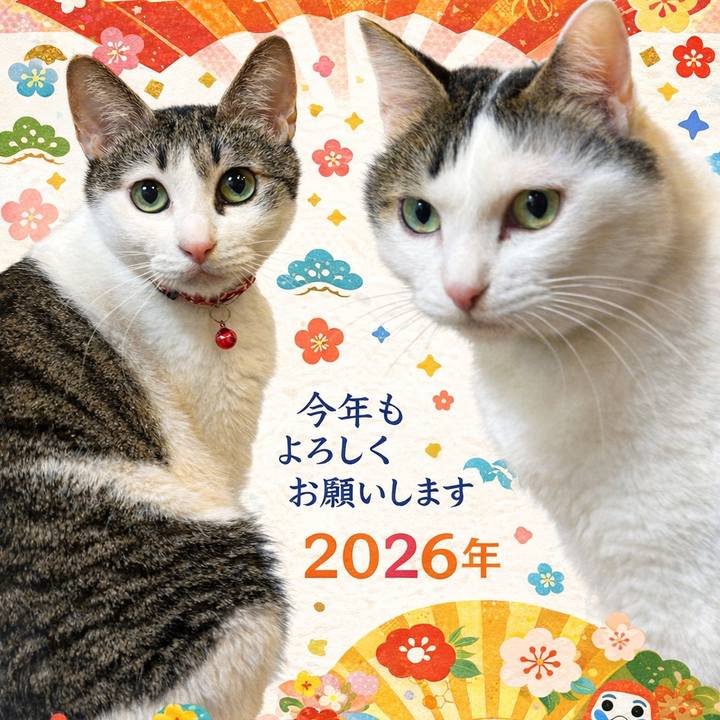 14809d68 e081 4657 b133 b1512ddcdc3e 1767352762660