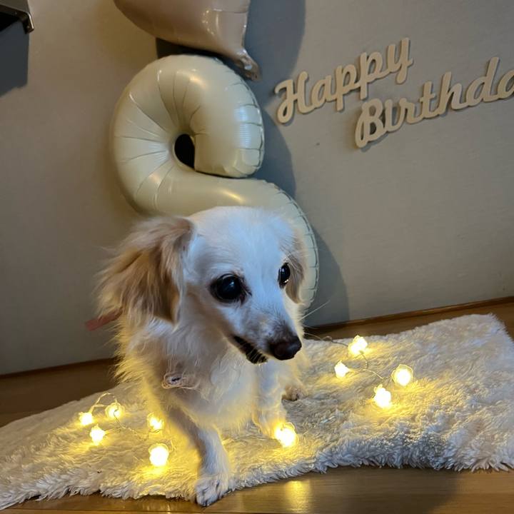 1480a0d9 82db 41e5 8529 bfd80e0cd4ed 1717753634211