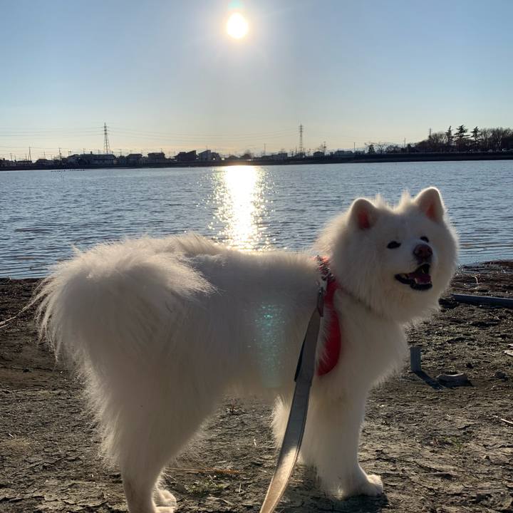 1480a0fc 4eb6 43d6 abf5 42783d0254c5 1583553318273