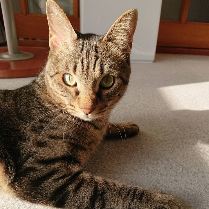 1480a9b0 0c48 44ca 8cdd 3717e0253576 1520146080533