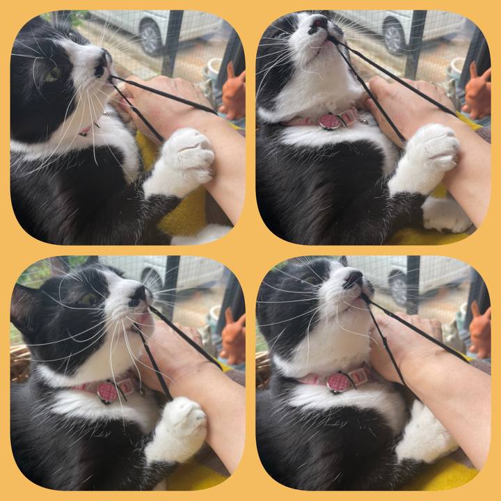 1480b49c 0833 4303 966c b0b434cc5fa4 1653175801040