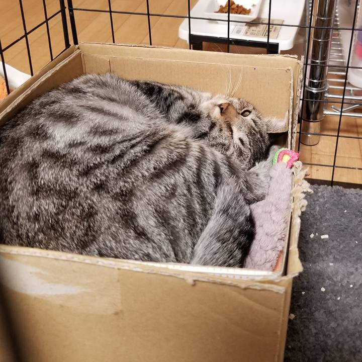 1480bc70 3ddf 42ae 8c28 aed4464c2fc6 1668784739523