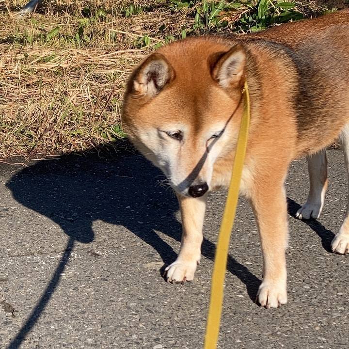 14815e81 0109 4d7b b5f1 84cb673a1799 1639026362686