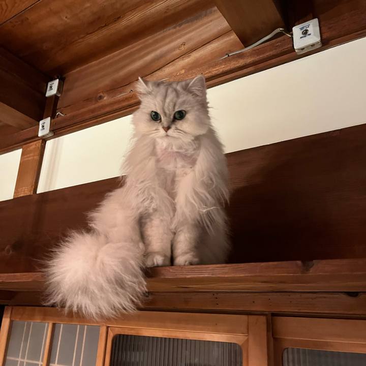 148186d3 0f0e 4016 bd58 27bf5ca2ba27 1649467565867