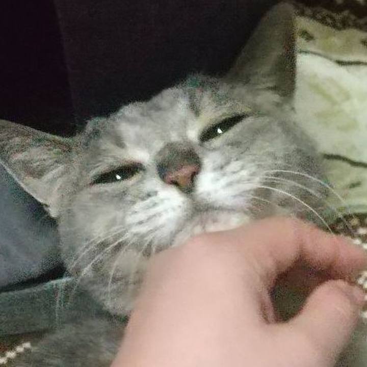 1481dacd 2e1e 4eef 9b81 ab14e1afd2f7 1668928775466