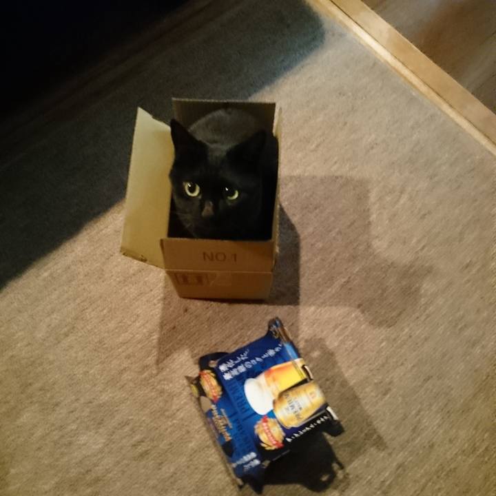 1481ebfd ef8f 41c3 b84f 0abd51c0d1f3 1740105971084