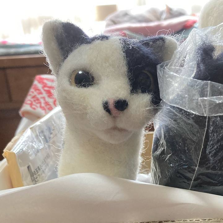 14820e9b 8384 4d2d 9a99 ae227572df53 1664969072469