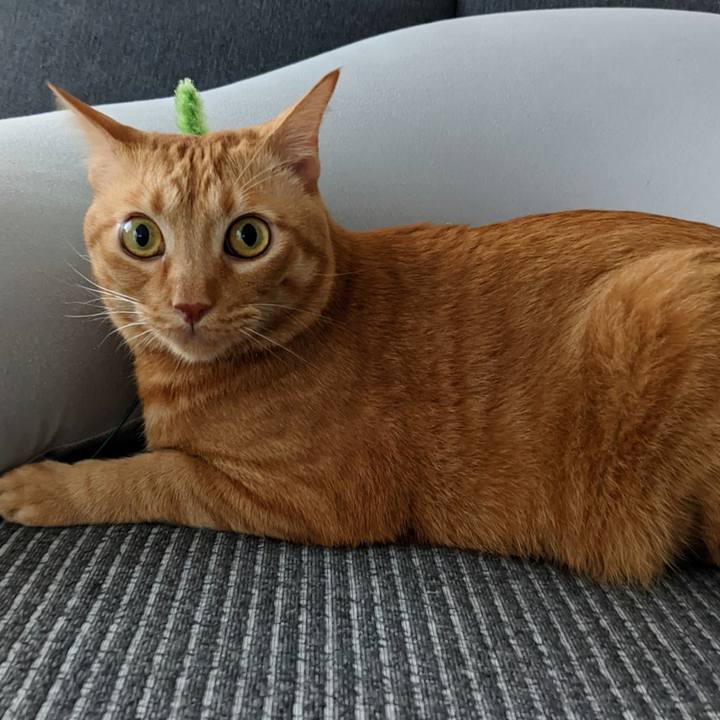 1482454b 2965 43cb 84c7 77b5de51c033 1665213407113