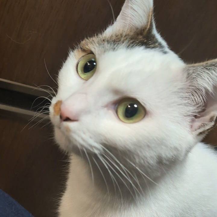 14824ccc 7993 4945 b961 cad9b0de4081 1700911421091