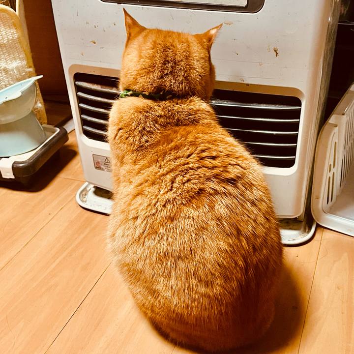 14828090 bc7f 4d0c 9e4c e81d93d9a263 1765914445406