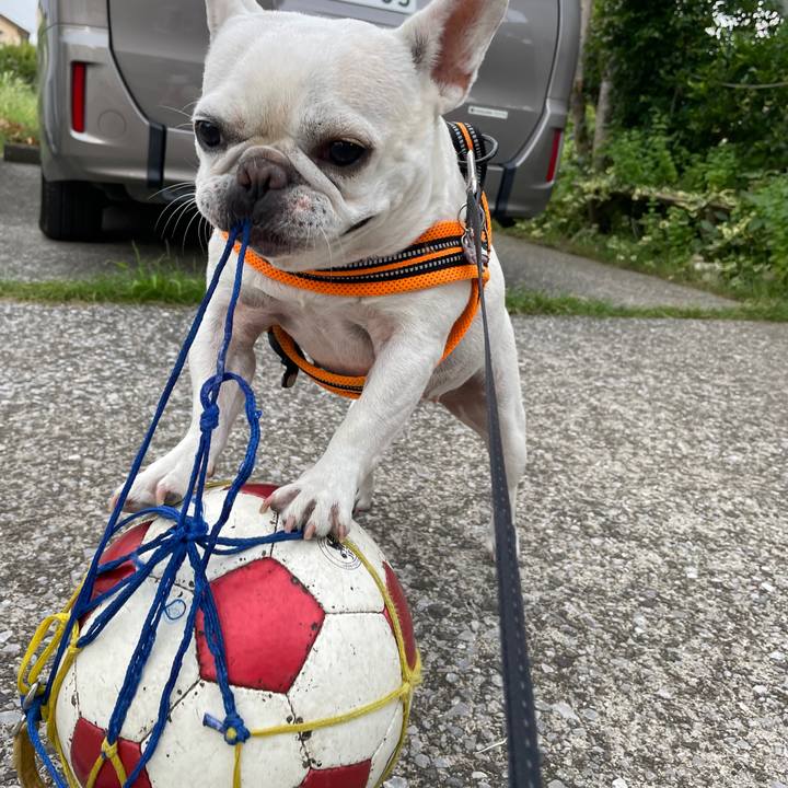 148295dd 820b 4ddd 9b62 f9f1a80041b9 1721899776134