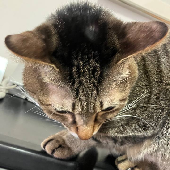 1482964f 1daf 474e 909b ee4d656a71c8 1767917916559