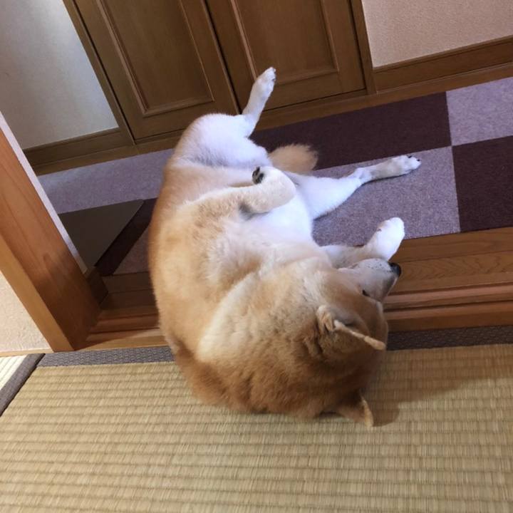 1482a5fe 2b47 44eb a73c 1ecfc67c6ac5 1558429030607