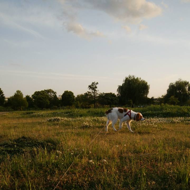 1482abab 0f9d 47c2 98cb 95d0954484e6 1525954200836