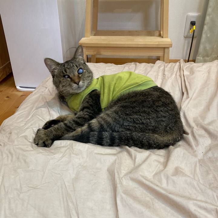 1482db31 b7c7 44a2 9f69 c63960b28a9c 1682078356018