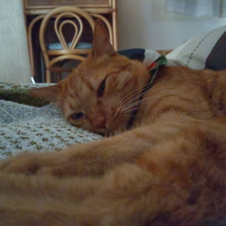 14831f1e 7740 4383 85a0 eaca2c739c06 1639105497256