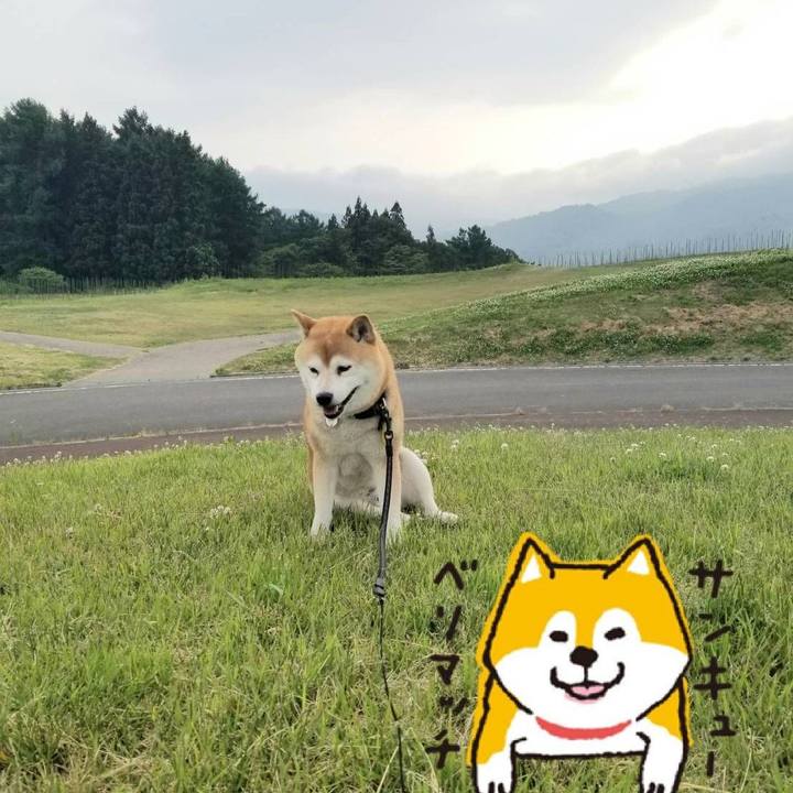 14832295 afe8 47dc 9cc9 1dfdccff1391 1591343494621