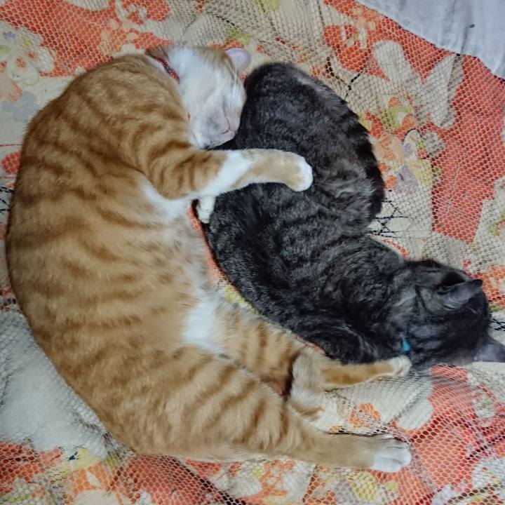 1483241b 265f 46af bdb5 35fb093a2e1a 1572100314596