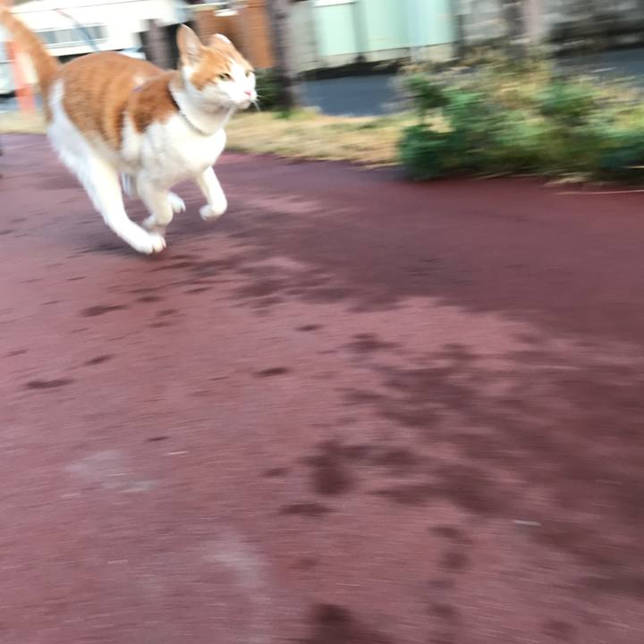 1483245d 7fc9 42bd 8818 8bcbf8286bf8 1511420692010