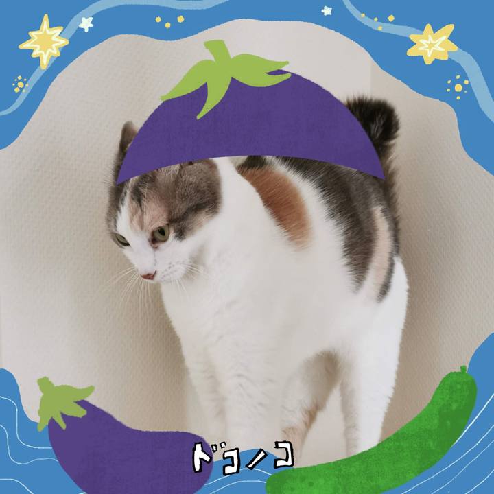 14833926 1bdb 4097 9bf6 3c83abce9d39 1755158361526