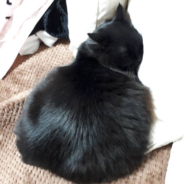 14834a78 5bab 4122 8324 44689b6ace13 1518556367125