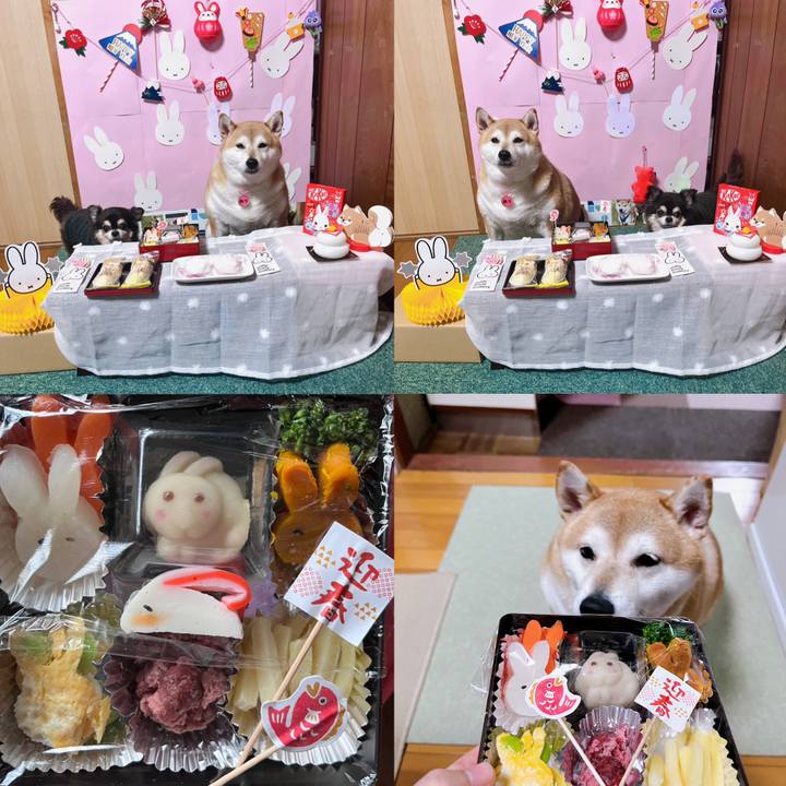 1483562a cf76 4b0e bf8e 14c46133599b 1672580640498