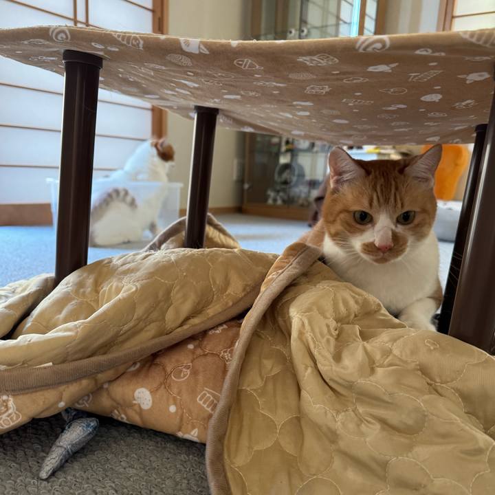 14837141 c429 4b79 9410 0c237ad4ae49 1765334796404