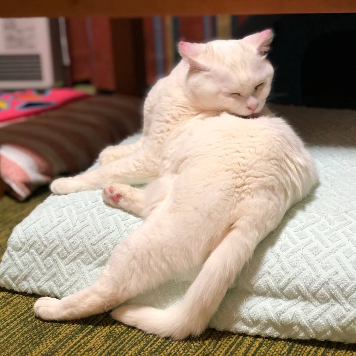 14837cdf 22d0 4b88 8dfd 98a59ff22b13 1556895586956