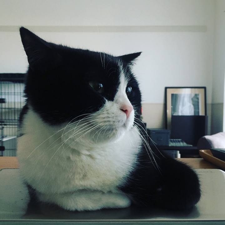 148387a9 b163 4527 8bb6 403d863257bb 1667187704342