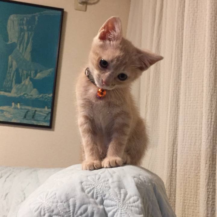 1483bf57 3253 4ebd 9a1d 1f0bd9fe4800 1532270171865