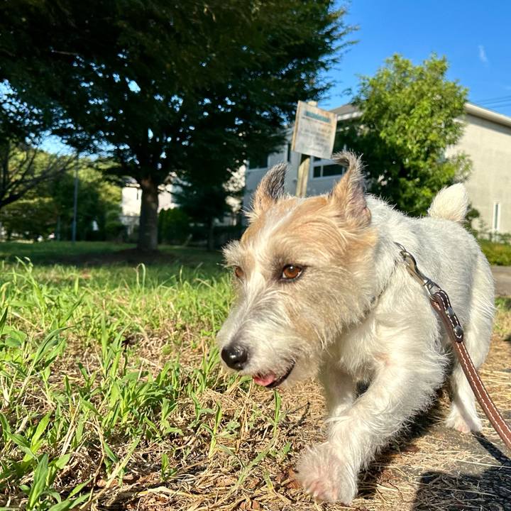 1483fa96 370a 4339 a7dc 886e875bbe27 1757913812685