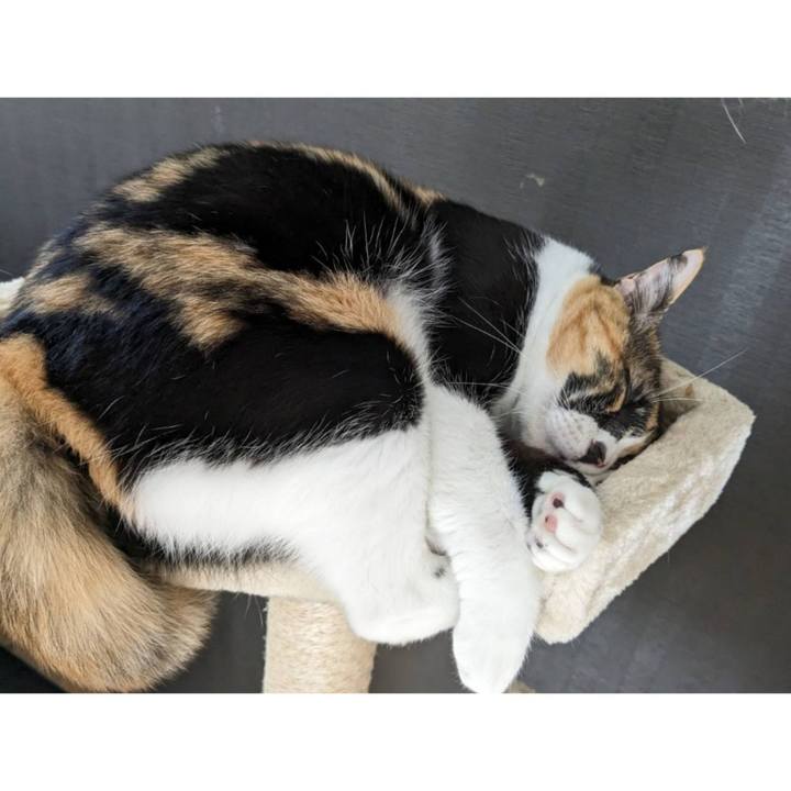 14841216 685c 4934 912e 0428d0d136e9 1691640395029