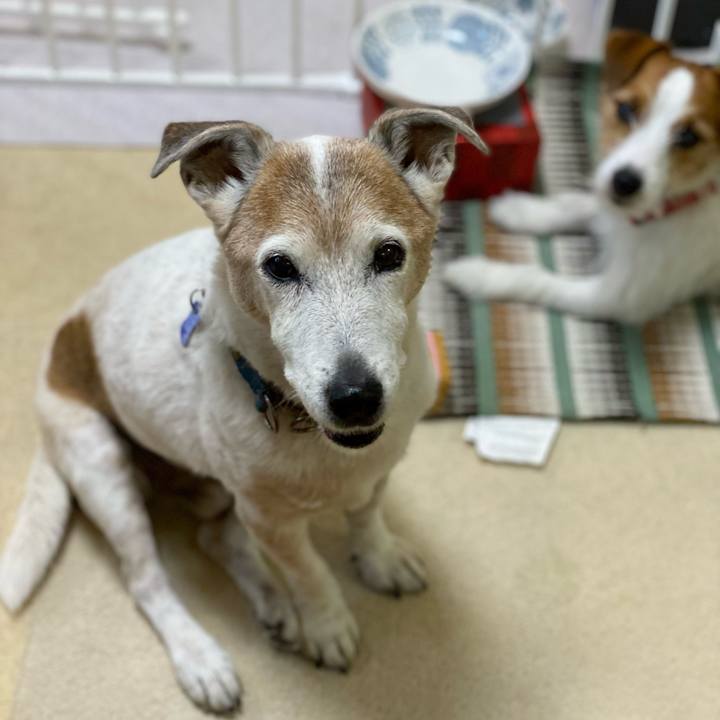 1484210c c366 4bdc ba08 42c0b1d70643 1649373908088