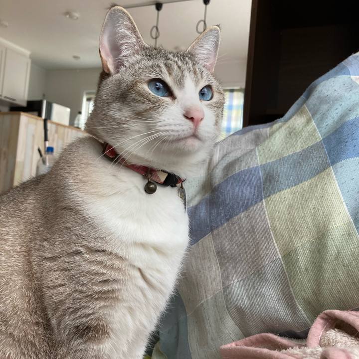 14842204 3bdd 4ce3 acd7 3eb04d4da09b 1589114306501