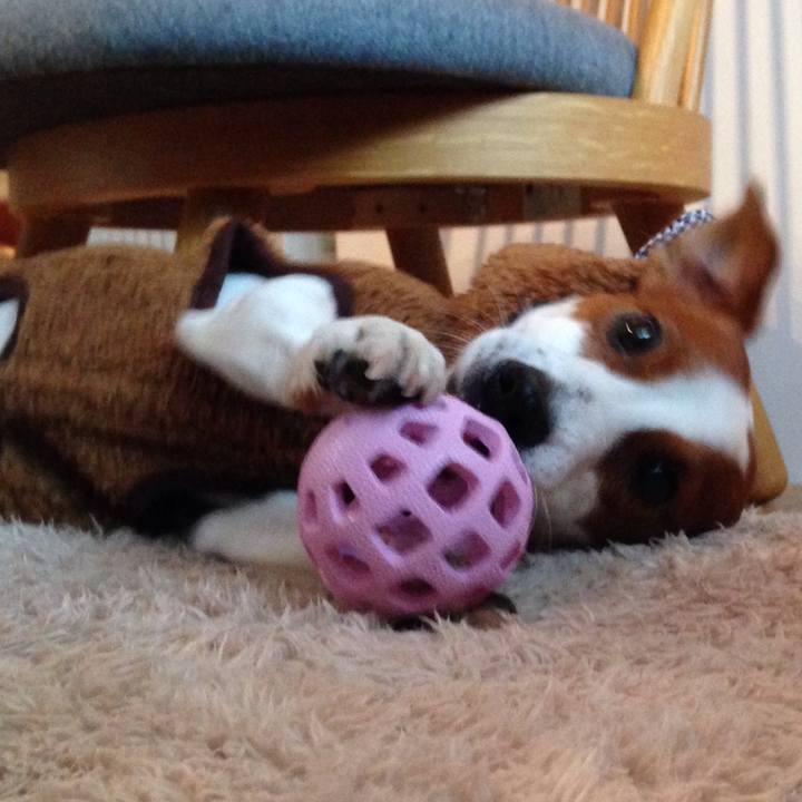 1484614a 12b1 4aaa b9a0 af7ab0da2503 1517732434782