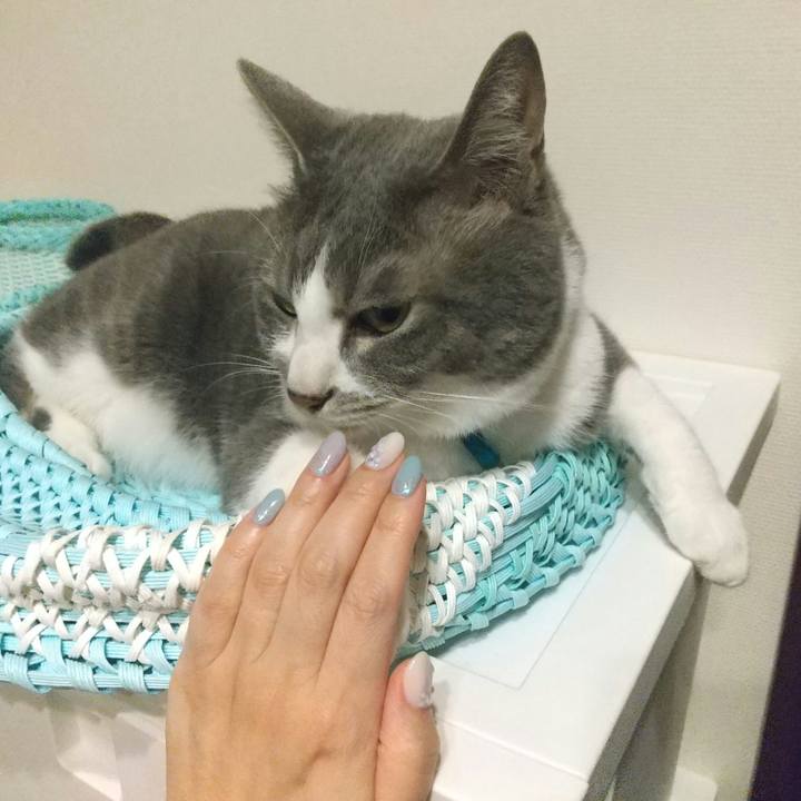 14846fdb 6ca7 4d58 9226 1e767421e85f 1652497370499