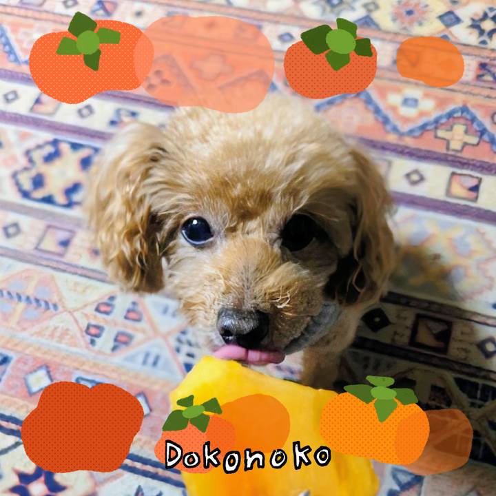 14849ca9 7a1b 4c4e 8401 c558f751f440 1762469215432