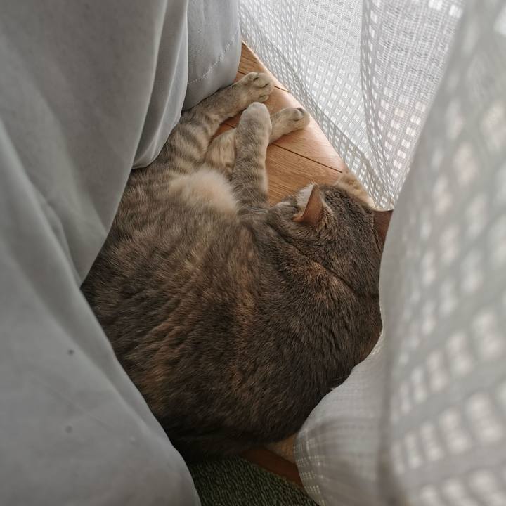 1484cde1 3d36 44f1 b842 96eb6fd5c3a1 1630828460960