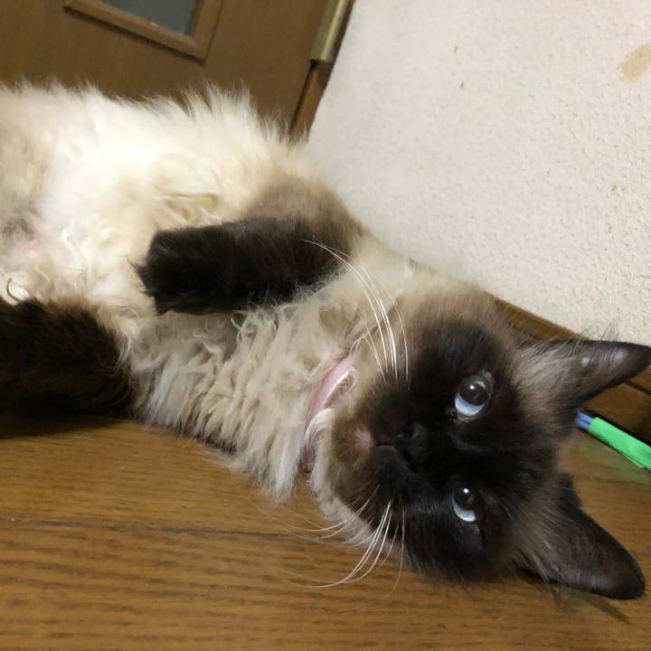 14850596 6736 4fc5 80a4 aadd07b87a54 1603098269243