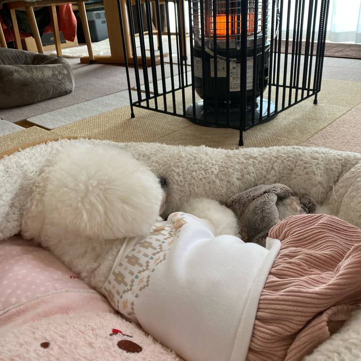 14855d53 a62b 45b9 87a5 05cae8edd028 1708754729980