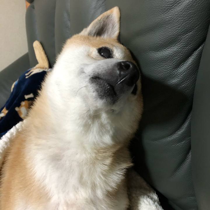 14856a72 4076 43f2 a451 68b1cc53c3cc 1578663647130