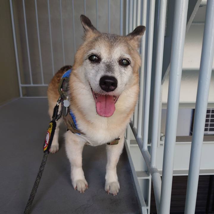 14857e6e ddbb 4d46 8e7b b756d410d9e2 1758633395622